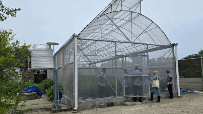 Green House