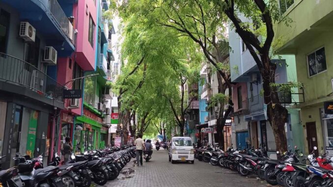 Sosun magu